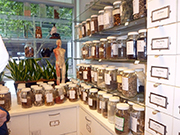 I[XgAVhj[ȋZw̓`wNjbNK