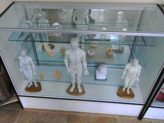 American College of Acupuncture & Oriental Medicine