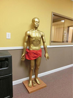 American College of Acupuncture & Oriental Medicine